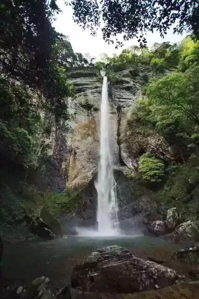身上红疹水泡反复长,这篇文章告诉你根治的关键